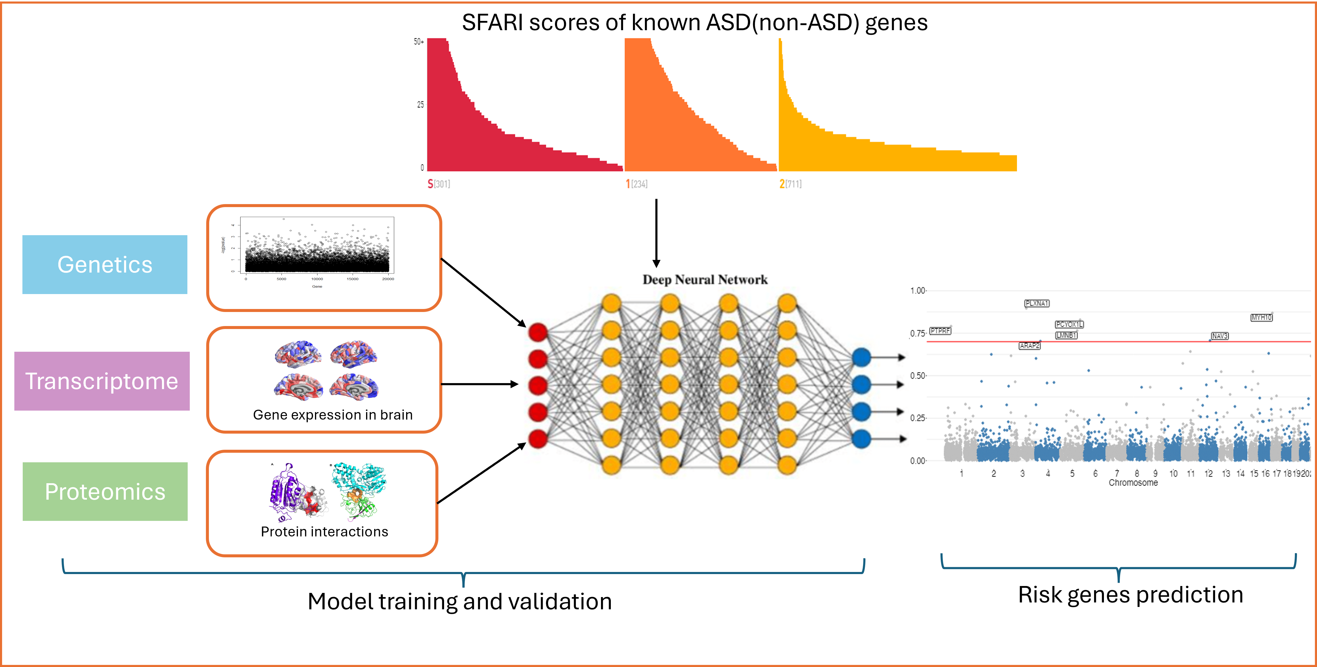 Deep-MOTIFs workflow